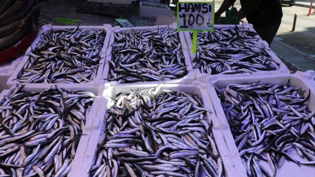 Rize'de istavrit ve hamsinin kilogramı 100 liradan satıldı