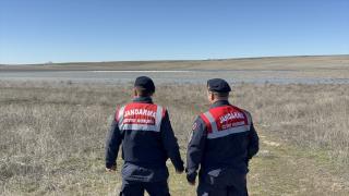 Gelingüllü Barajı’nın misafirleri jandarma gözetiminde