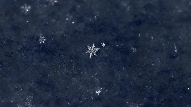 Van'da kar kristallerinin farklı şekilleri objektife yansıtıldı