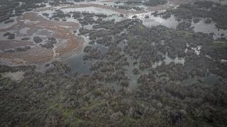 Karacabey Longozu etkili olan yağışlarla doldu