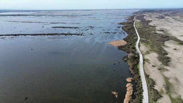 UNESCO listesindeki Kızılırmak Deltası su seviyesinin artmasıyla canlanmaya başladı