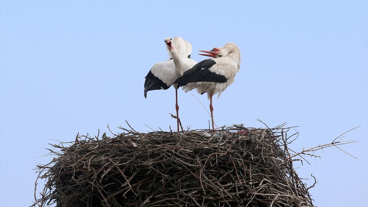 "Onlarla beraber büyüdük"