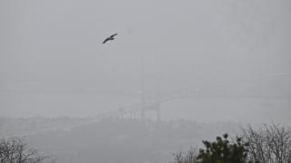 İstanbul sis altında