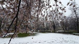 Saraybosna’ya kar yağdı