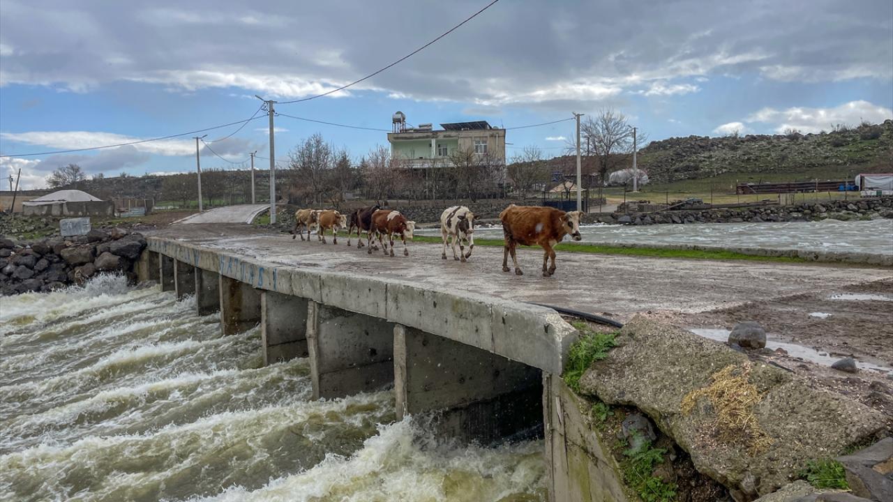 "Irak`tan Basra Körfezi`ne kadar olan barajlarda da bunun etkisi hissedilecek"