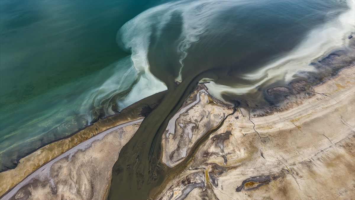 "Yaz ayı için oldukça sevindirici bir durum"