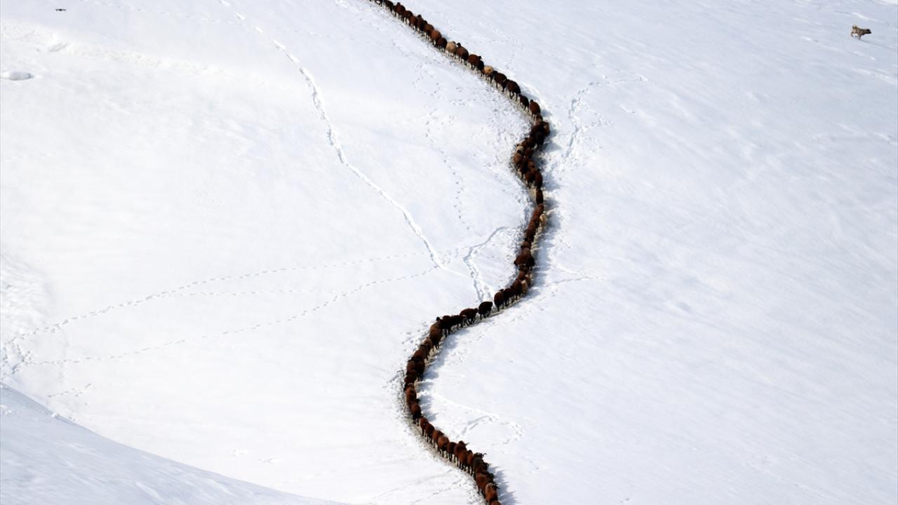 "Böyle giderse nisan sonu ancak baharı görürüz"