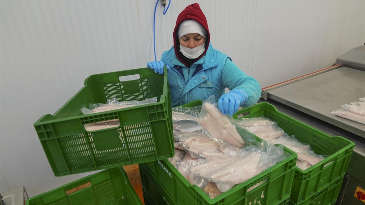 "Tanıtım ve tadım faaliyetlerimiz son dönemde çok arttı"