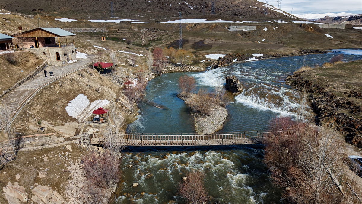 "Su miktarı arttıkça üreme başarısı artar"