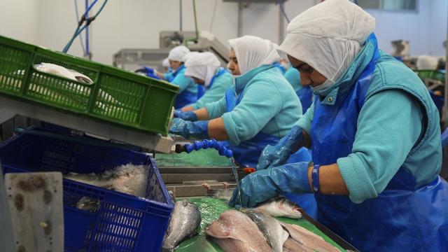 Su ürünlerinde iki aylık ihracattaki yüksek artış, yeni rekor beklentisini artırdı