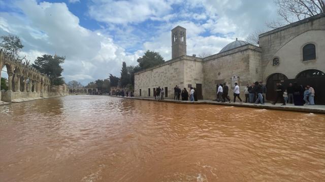Şanlıurfa'da sağanak Balıklıgöl'ün suyunu bulandırdı