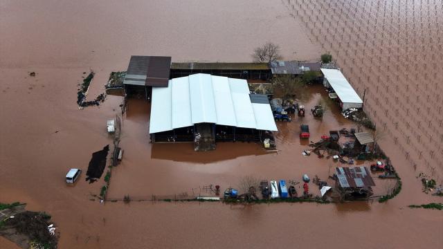 Gediz Nehri taştı: Tarım arazileri ve bağlar sular altında kaldı