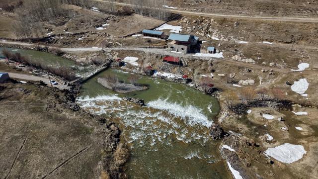 Artan yağışlar 'İnci Kefali'nin üreme dönemini sorunsuz geçirmesini sağlayacak