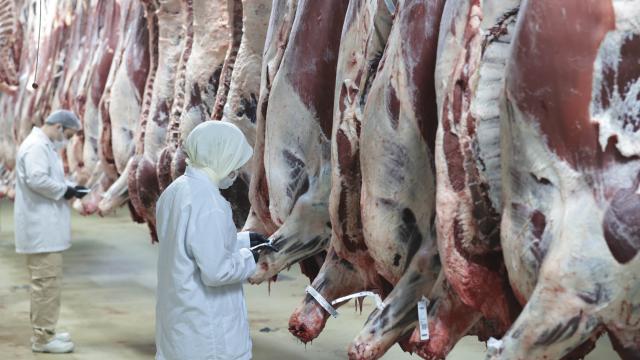 Ankara merkezli 8 ilde et fiyatları ve gıda güvenliğine ilişkin operasyon: 30 gözaltı, 33 şüpheli hakkında işlem