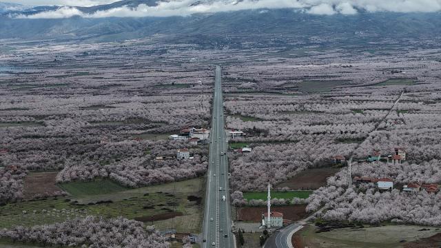 "Dünya kayısı başkenti" Malatya beyaz gelinliğini giydi