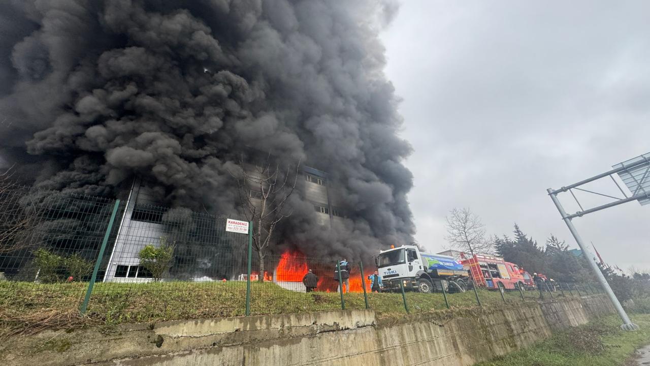 Trabzon’da fındık fabrikası deposunda yangın
