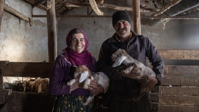 Besiciler kuzu ve oğlak doğumlarında zorlu mücadele veriyor