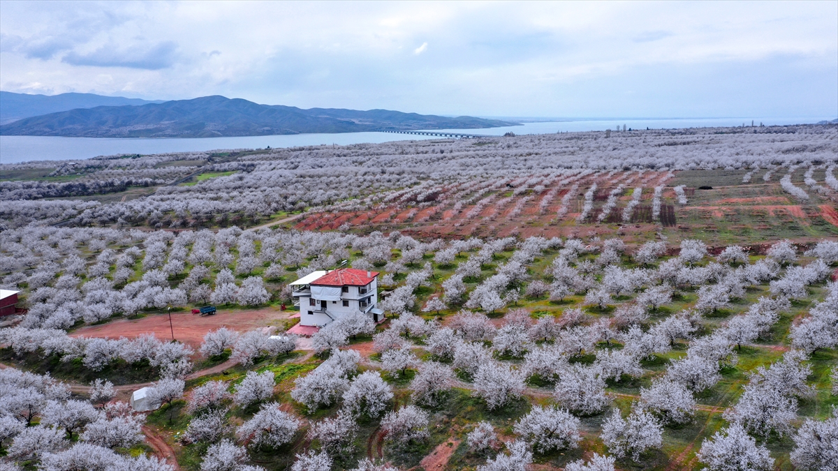 "Üreticilerimizin bereketli bir yıl geçirmelerini umuyoruz"