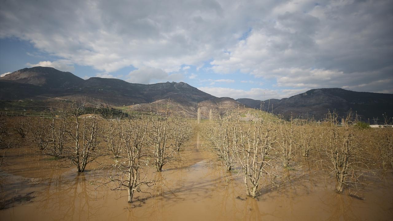 "En son böyle bir olayı 2014 yılında yaşamıştık"