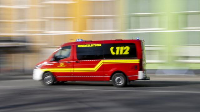 Hamburg'da Bir Kadına Kurt Saldırısı: 1998'den Beri İlk Vaka