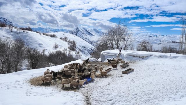 Hakkari'nin bir tarafında bahar bir tarafında kış yaşanıyor