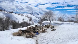 Hakkari'nin bir tarafında bahar bir tarafında kış yaşanıyor