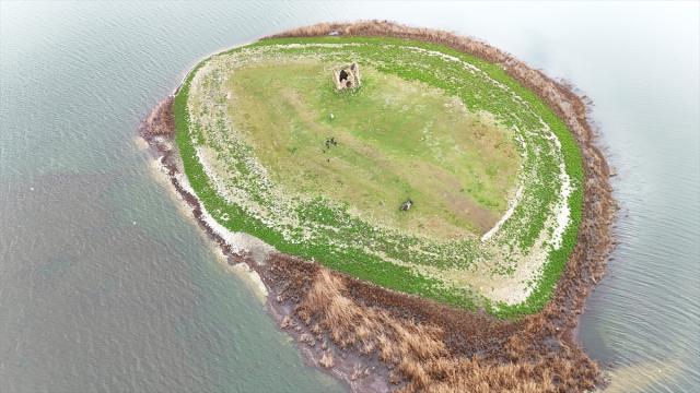 Kuraklıktan etkilenen Mada Adası'nda yağışlar su seviyesini yükseltti