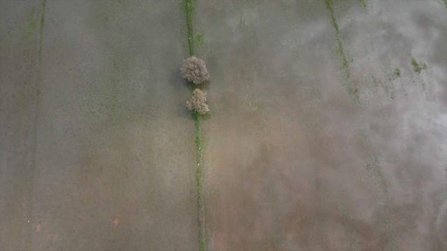 Muğla'da sağanak sonrası su altında kalan tarım arazileri havadan görüntülendi