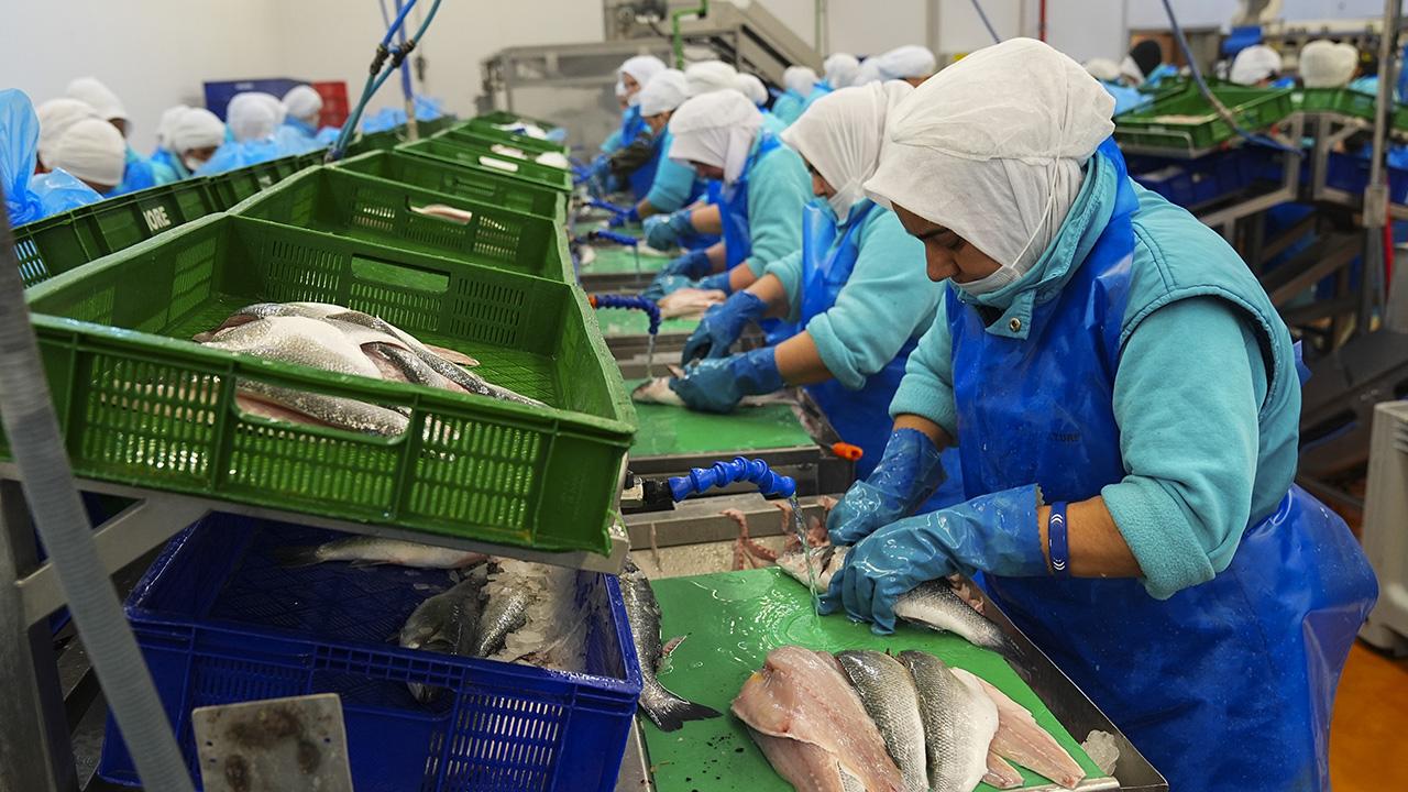 Su ürünlerinde ilk çeyrekte 552 milyon dolarlık ihracat