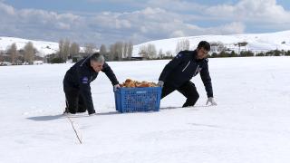 Hem israfı önlüyorlar hem de yaban hayvanlarını besliyorlar
