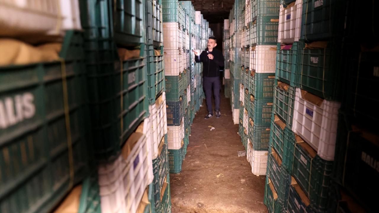 "Son dönemde ortalama 1 milyon sandık civarında limon depolanıyor"