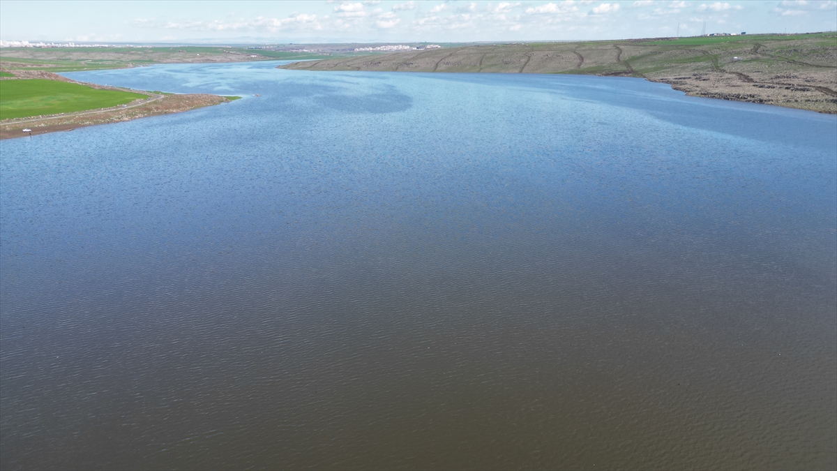 Üreticiler sevinçli