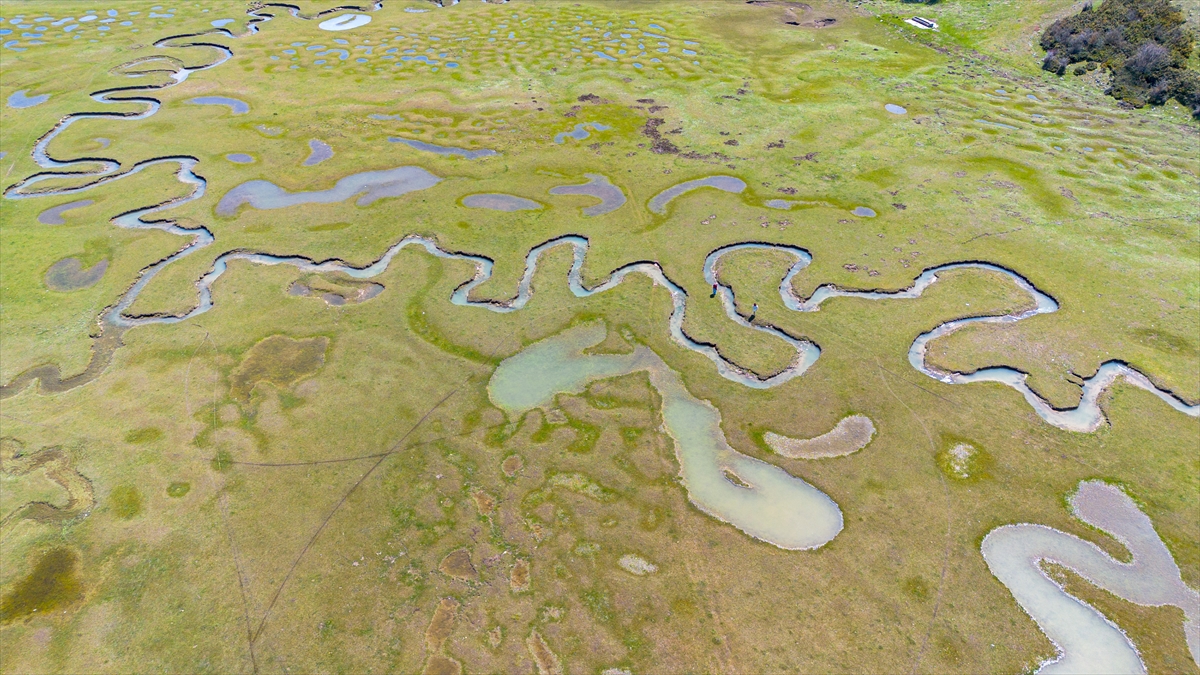 Sakarya'da kar ve yağmur sularıyla dolan menderesler doğaseverlerin ilgisini çekiyor