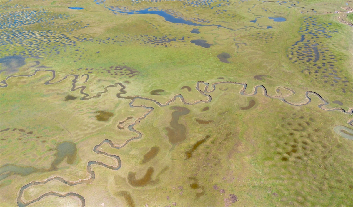 Sakarya'da kar ve yağmur sularıyla dolan menderesler doğaseverlerin ilgisini çekiyor