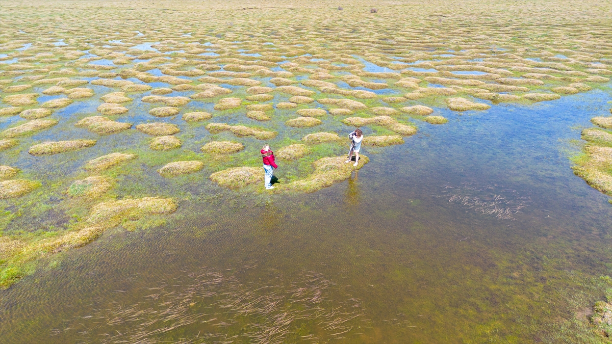"Maviye de yeşile de doydum"