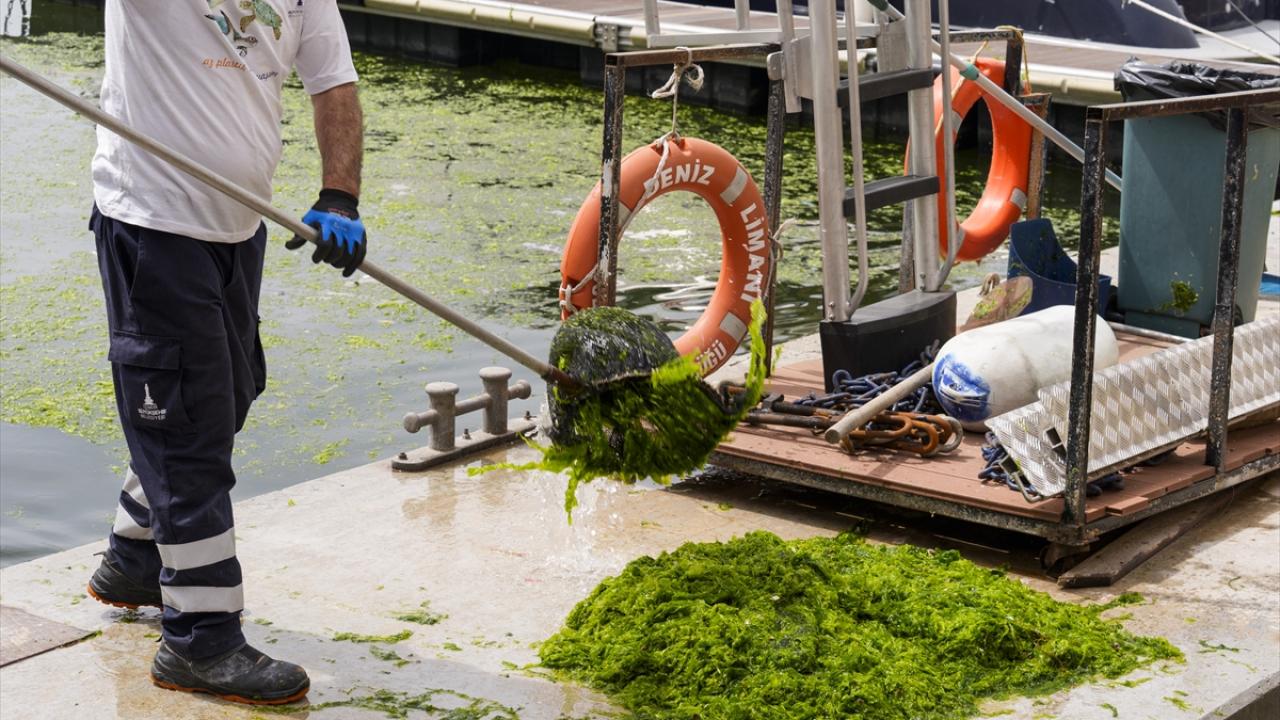 "Atıkların kontrol altına alınması gerekmektedir"