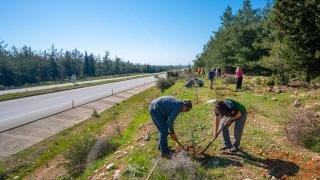 Antalya'da doğa sporcuları yaz sezonuna ağaç dikerek başladı