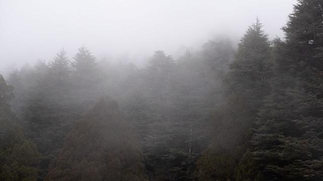 Çukurardıç Yaylası'nda sis