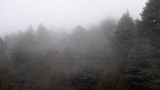 Çukurardıç Yaylası'nda sis