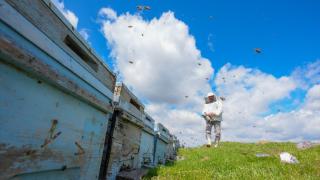 Mevsimsel yağışlar balda yüksek rekolte beklentisini artırdı