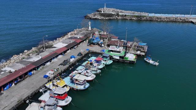 Batı Karadeniz ve Doğu Marmara'da balıkçılar bu sezon umduğunu bulamadı