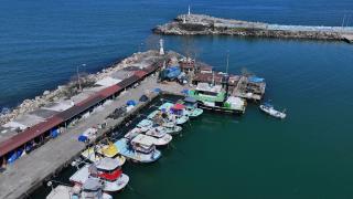 Batı Karadeniz ve Doğu Marmara'da balıkçılar bu sezon umduğunu bulamadı