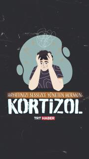 Hayatınızı sessizce yöneten hormon: Kortizol