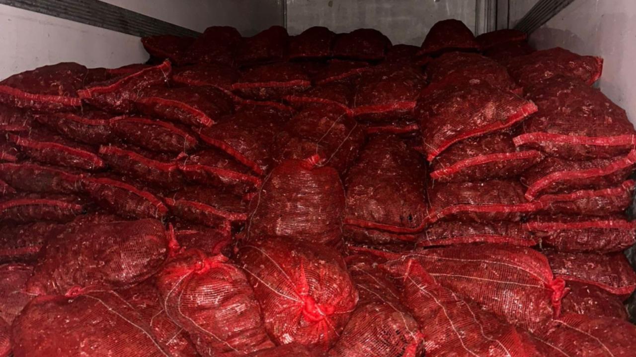 Bursa ve Balıkesir'de 10 ton kaçak midye ele geçirildi