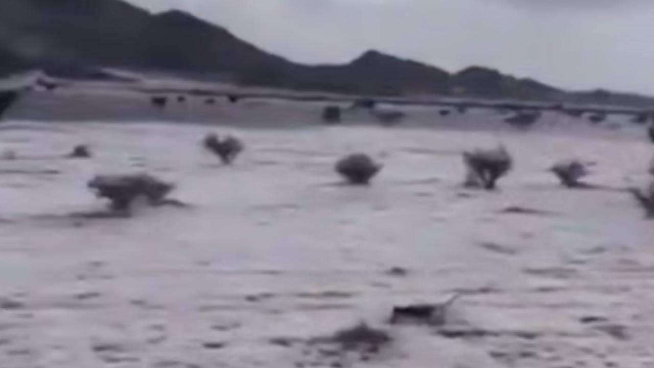 Suudi Arabistan'da çöller dolu yağışıyla beyaza büründü