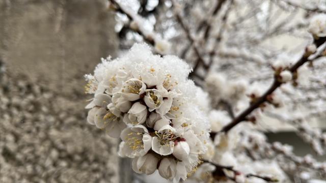 Bazı illerde Nisanda kar yağışı etkili oluyor