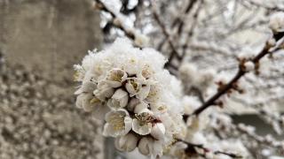 Bazı illerde Nisanda kar yağışı etkili oluyor