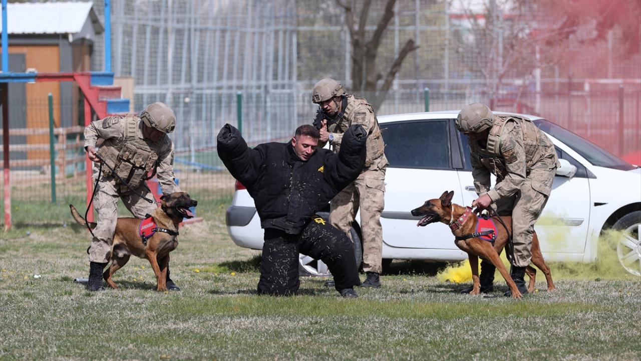 Eğitimler gerçeği aratmıyor