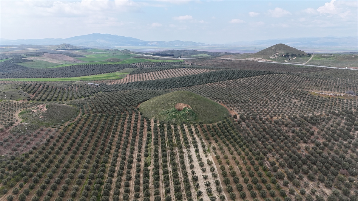 Binteper Tümüslüleri