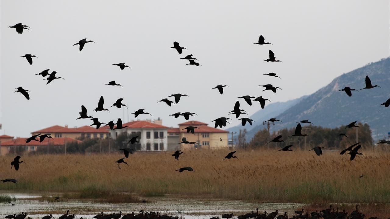 "Burada inanılmaz kuş çeşitliliği var"